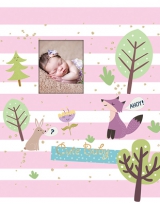 Альбом UFO 20sheet S22x32 Pink fox